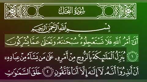 القرآن الكريم الجزء الرابع عشر 14 - بصوت الشيخ ماهر المعيقلي