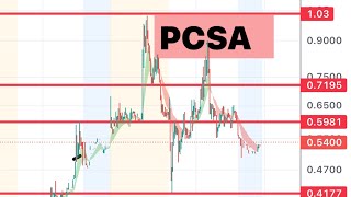 Wait For The Dip? Pcsa