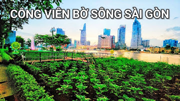 Vườn hoa hướng dương đón Tết 2026, đồng diễn võ nhạc Vovinam tại công viên bờ sông Sài Gòn vào 30/11