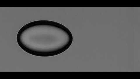 Deformation of chitosan microcapsule in extensional flow