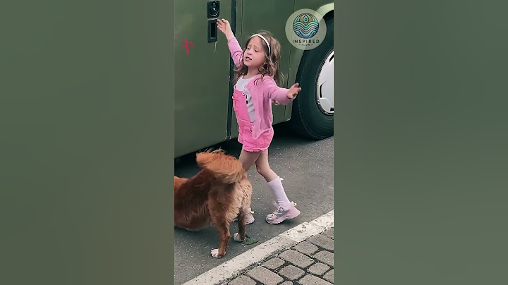 🐶 Incredible Dog Rescues Kittens from Bus - Inspiring Story! ❤️ #Shorts #KindnessMatters