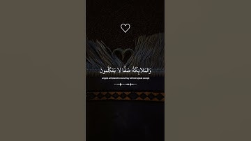 القارئ عبد الرحمن مسعد | سورة النبأ 🤍