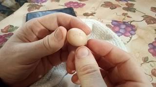 Курица несёт очень маленькие яйца