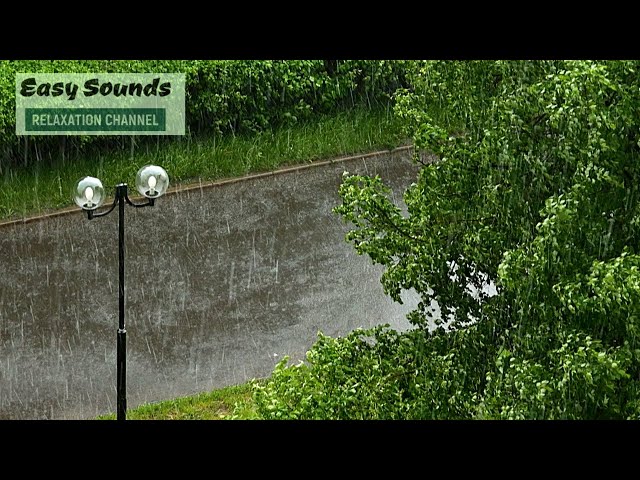 Tropical WIND on a RAINY Day-Rain and Thunder Sounds for SLEEP u0026 Relaxation class=