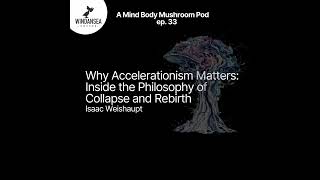 Ep. 33 | Why Accelerationism Matters: Inside the Philosophy of Collapse and Rebirth | Isaac Weish...
