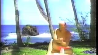 lifestyles of the rich & famous: mike love