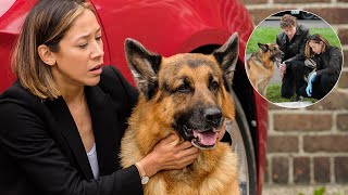 The Dark Secret Behind Hudson & Rex – What Really Happened to Charlie Hudson?