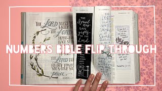 Numbers Bible Flip Through | Journaling Bible Tour *most difficult book to read*