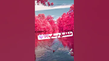 مع انو الهوا غلاب لا مابيخلى من العزاي 