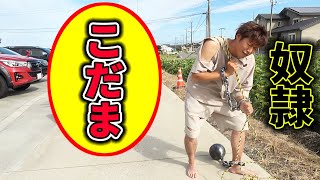 こだまさん mqdefault.jpg