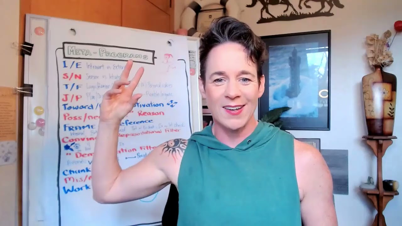 1st 3 min of The 12 Metaprograms introduction