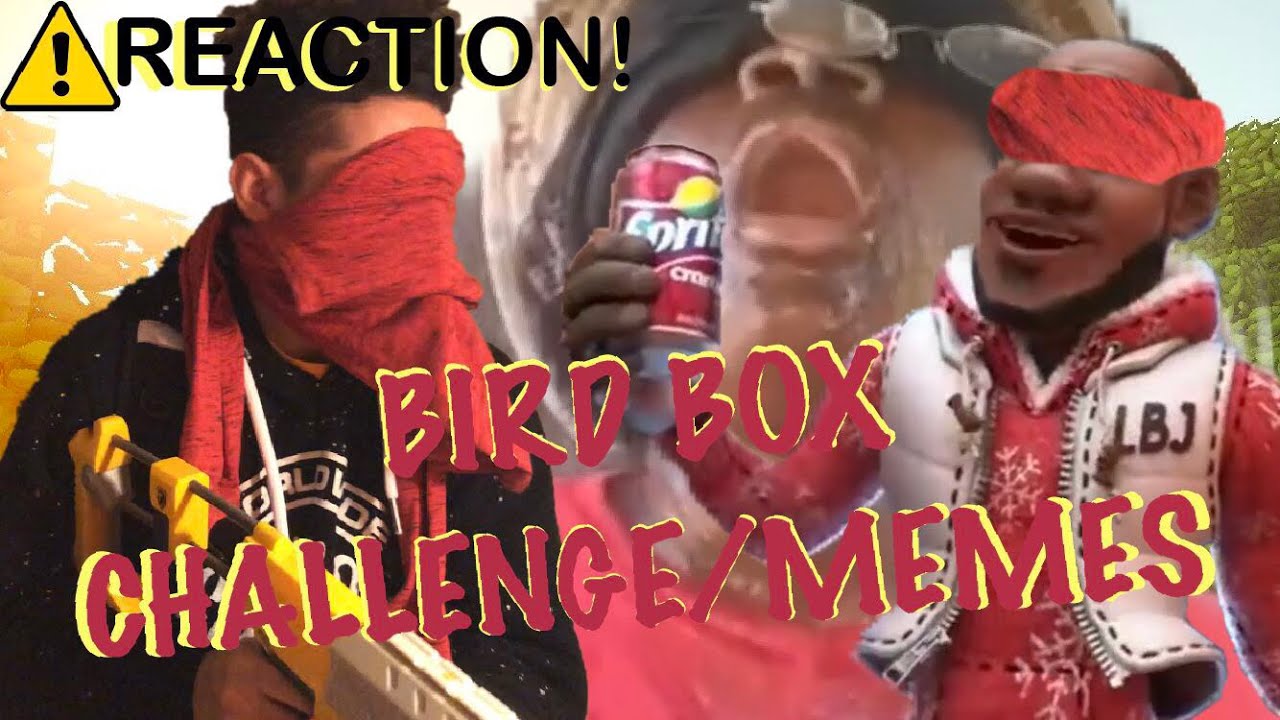 BIRD BOX CHALLENGE/MEMES REACTION/ASMR WITH A SPRITE CRANBERRY!!!