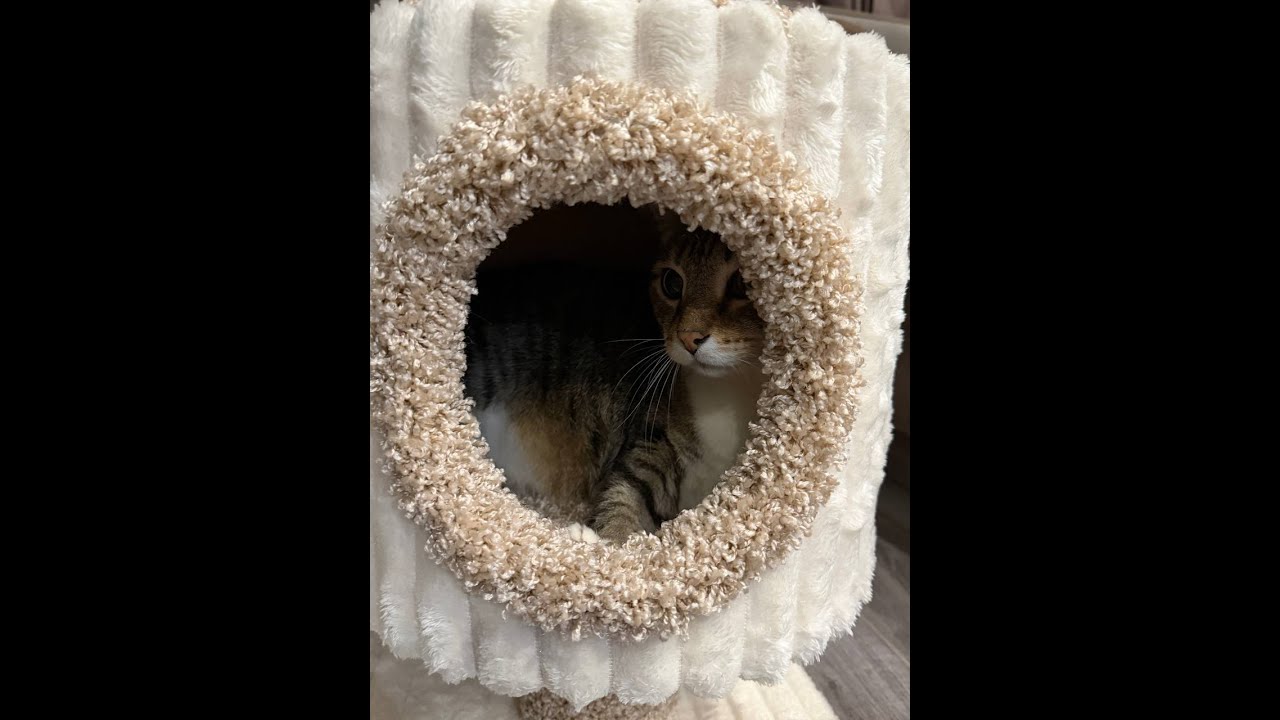 ЖЕСТКИЕ ТАНКИ НА ЗАКАЗ