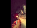 Sheila Rockstar burning a rose in her pool