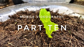 Mobile Videography ( Part 10 ) Subj : Hello Plants ( iPhone 7 Plus )