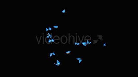 Butterflies - Blue Swarm - Resizable Loop - 4K | Motion Graphics - Envato elements