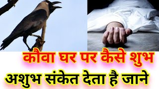 कौवा घर पर कैसे शुभ अशुभ संकेत देता है जाने#kauwa ko Roti khilane se kya hota hai vastu Shastra#crow