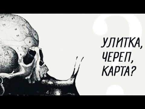 Video: Куран жана Финдер - Иордания үчүн согуш. 2 бөлүк