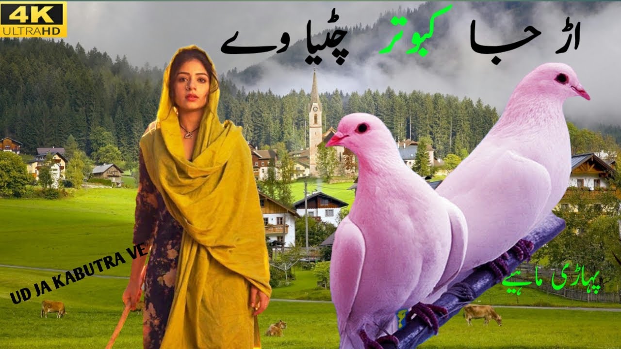 PIR PANJAL KASHMIR 4K VIDEO WITH ( UD JA KABUTRA )PAHARI MAHIYE TAPPAY PAHARI GEET PAHARI SONG GOJRI