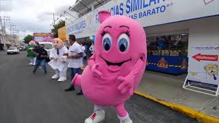 Velocidad 6 - Dr Simi Coreografia