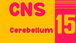 Lecture 15 : Cerebellum