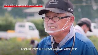 【生産者インタビュー】カゴメ_高リコピントマト収穫