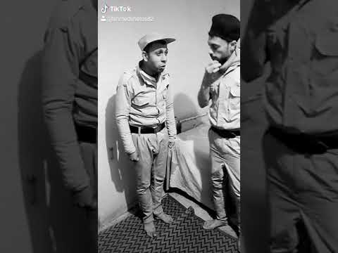 شيتوس وهشام