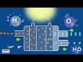 ¿Cómo funciona una pila de hidrógeno? / How does a hydrogen fuel cell work?