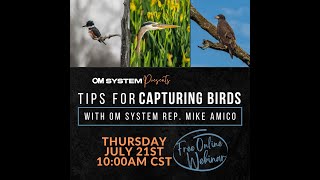 Tips for Capturing Birds with OM System Rep, Mike Amico