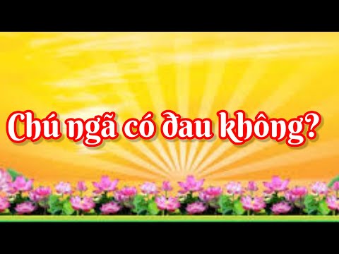 Video Câu chuyện Chú ngã có đau không? Học tập và làm theo... - youtube
