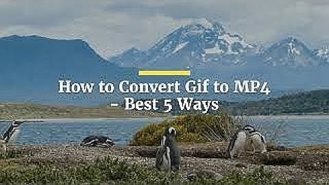 How to Convert Gif to MP4 Best 5 Ways
