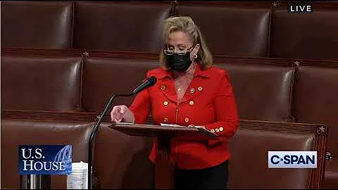 Congresswoman Ann Wagner Speaks on the ERA