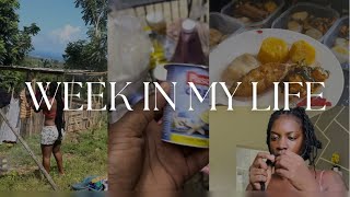 NO HELP. jUST ME- Laundry + Shopping + Cooking + taking down My locs