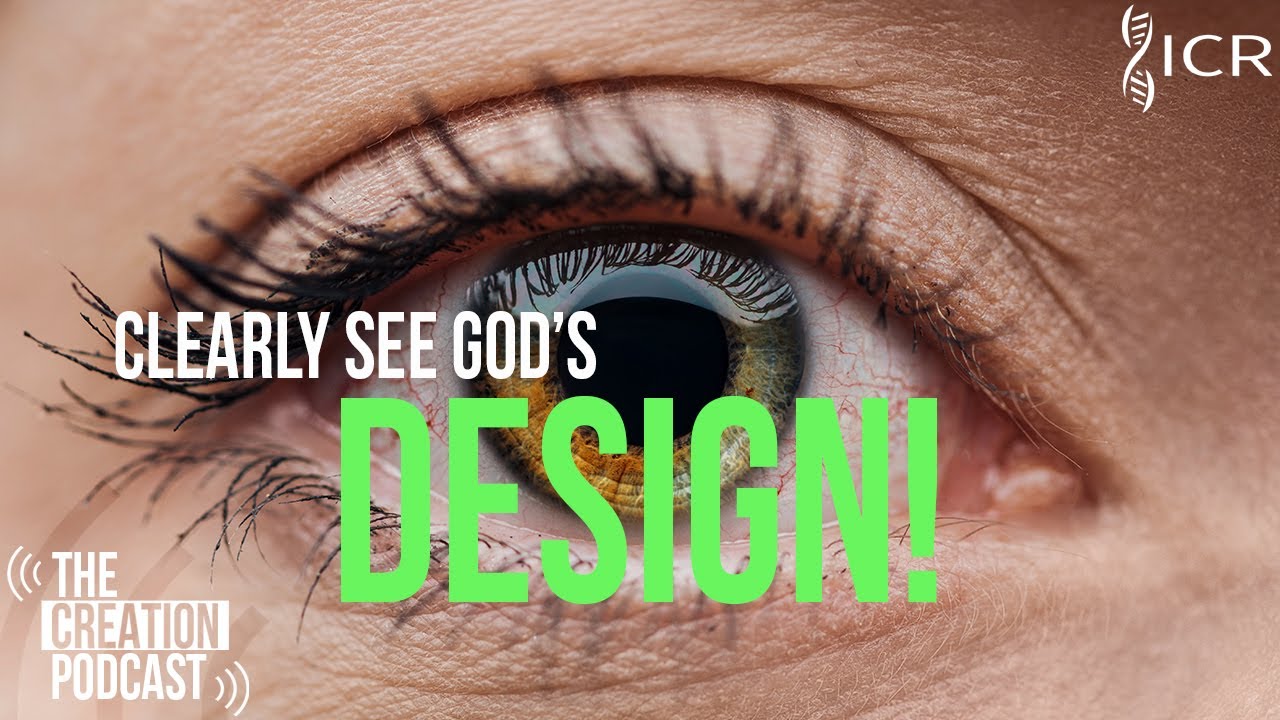 Taking a Closer Look at Uniquely Human Eyes