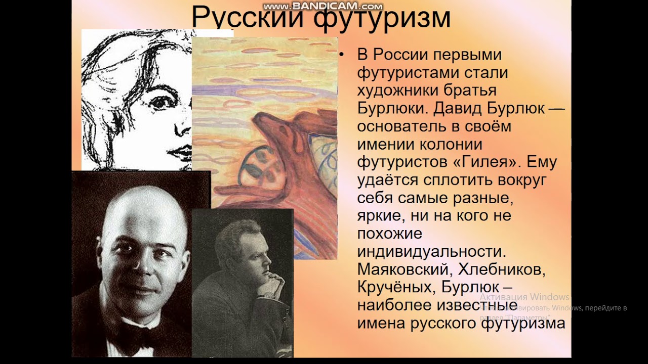 Нива это в литературе