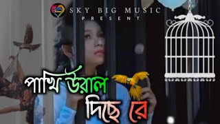 পখ উরল দছ র Pakhi Ural Dise Re Baul Rayhan