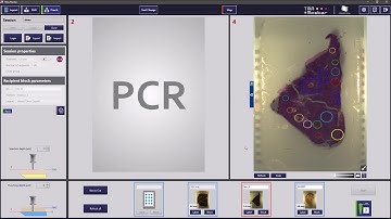 3DHISTECH - TMA Master II tutorial Part 3 of 3