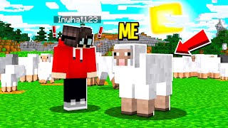 I Used A DISGUISE MOD To CHEAT In Hide And Seek! (Minecraft)