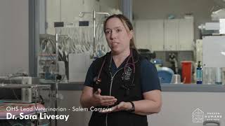 Salem Radiology Project