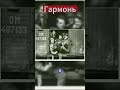 Музыка Победы в вагоне #вов #покаявармии