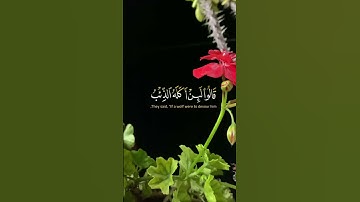 قَالَ إنِّي لَيَحْزُنُنِي أن تَذْهَبُوا بِهِ💜آيات من سورة يوسف بصوت القارىء الشيخ سيد سعيد🥀 #قرآن