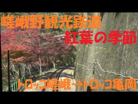 [Front View Video] Sagano Scenic Railway - Front View of Autumn Leaves - Saga Torocco → Kameoka T...