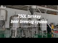 Hulk brewtech 750l turnkey beer brewing system