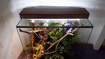 Carpet python natural vivarium habitat setup