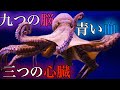 【宇宙からの刺客】タコのスペックが凄すぎる件