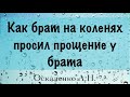 Как брат просил прощение на коленях  Оскаленко А.Н