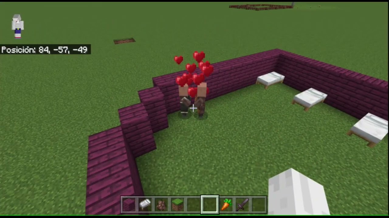 Como Reproducir Aldeanos En Minecraft