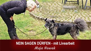 NEIN SAGEN DÜRFEN (Mit Livearbeit) - Eine neue Reihe über das Leben - Teil 13