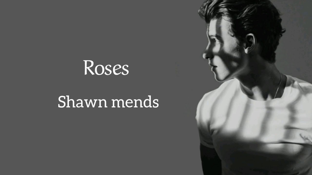 Roses Shawn mendes (lyrics) YouTube