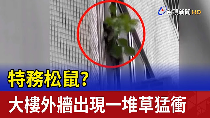 特务松鼠？大楼外墙出现一堆草猛冲 - 天天要闻